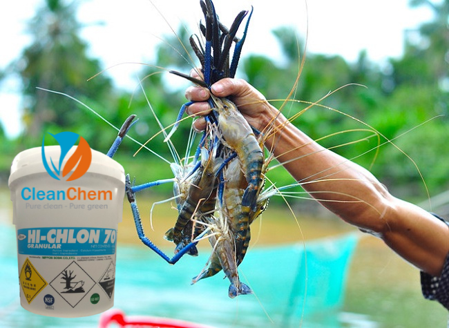 chlorine là gì ứng dụng trong nuôi trồng thủy sản